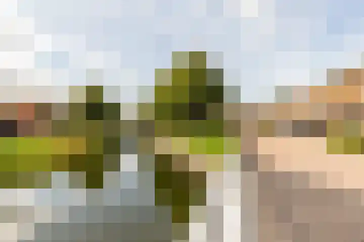 Hondsrug 28 Lelystad thumbnail 34
