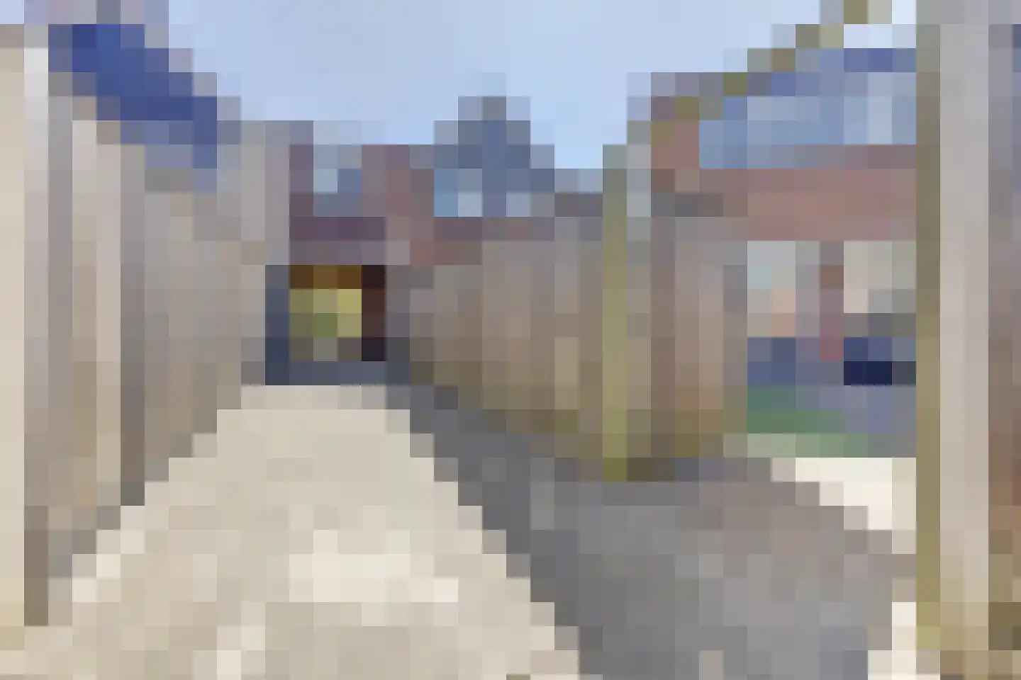 Hondsrug 29 Dronten thumbnail 31