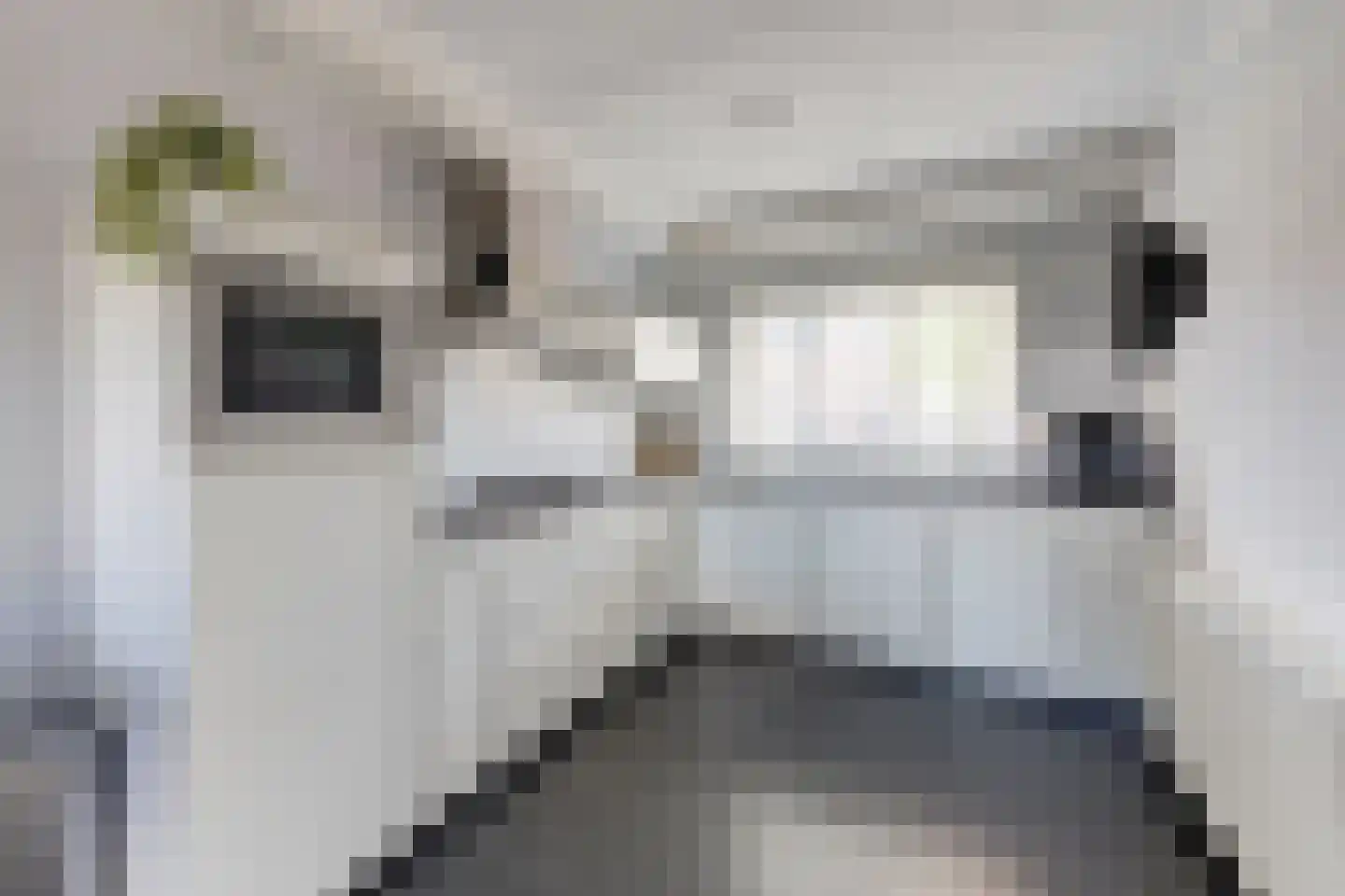 Hondsrug 29 Dronten thumbnail 4