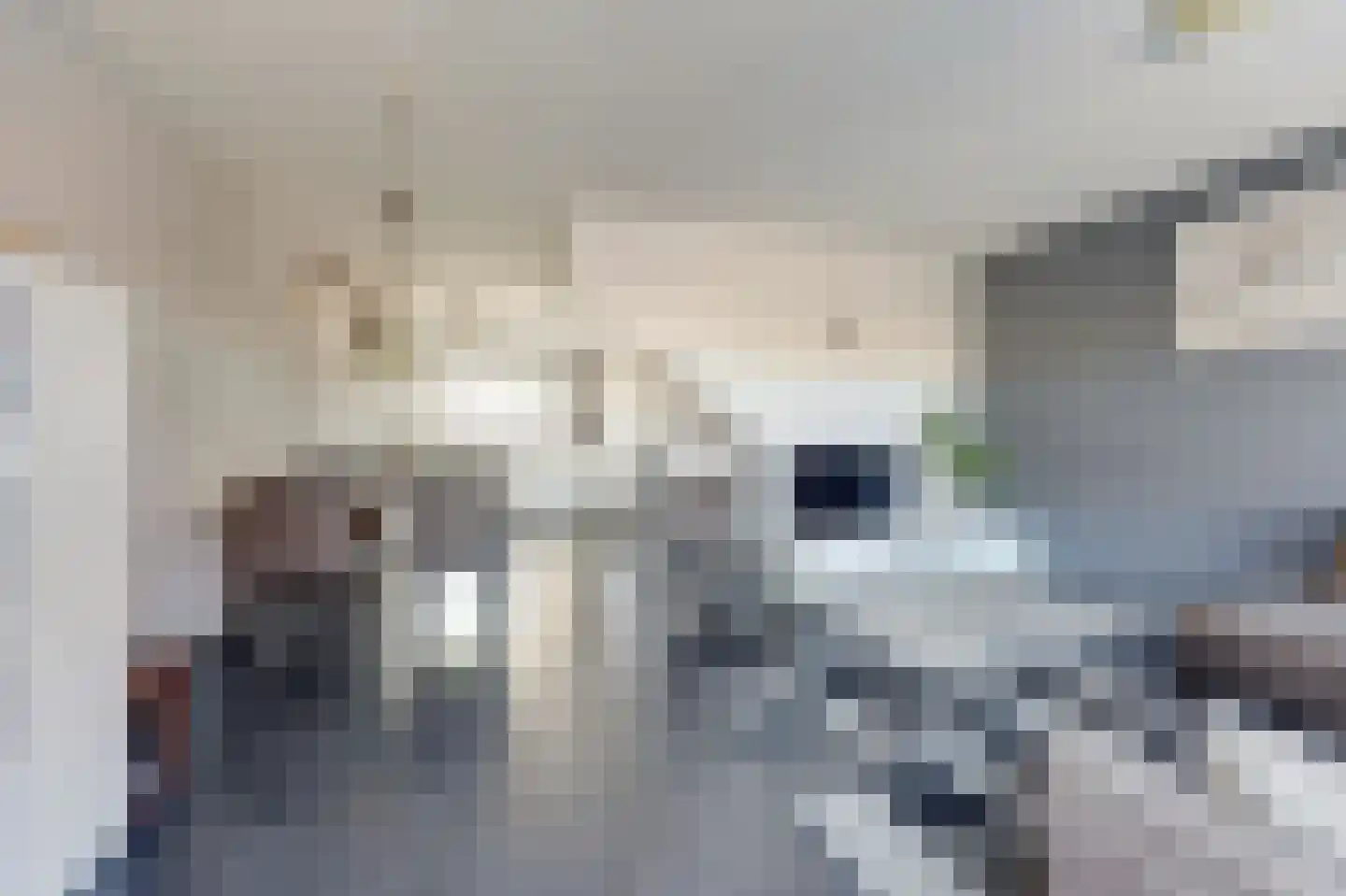 Hondsrug 29 Dronten thumbnail 8