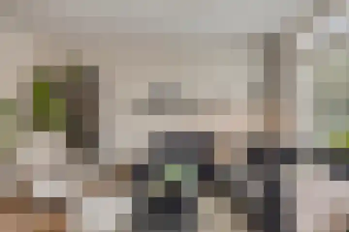 Hondsrug 68 Dronten thumbnail 10