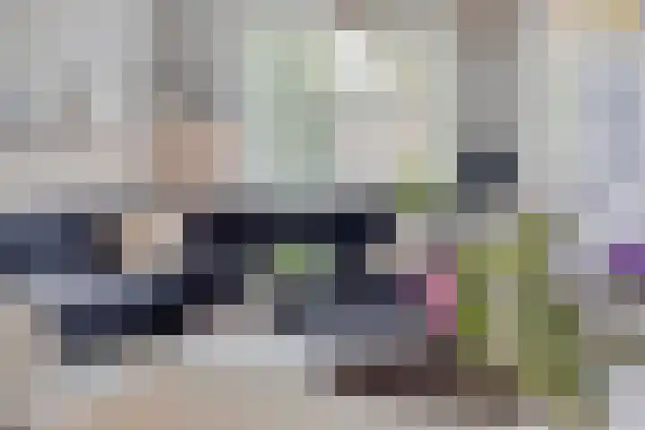 Hondsrug 68 Dronten thumbnail 12
