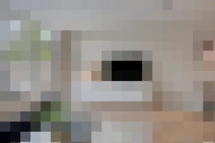 Hondsrug 68 Dronten thumbnail 13