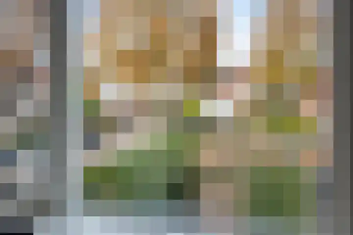 Hondsrug 68 Dronten thumbnail 21