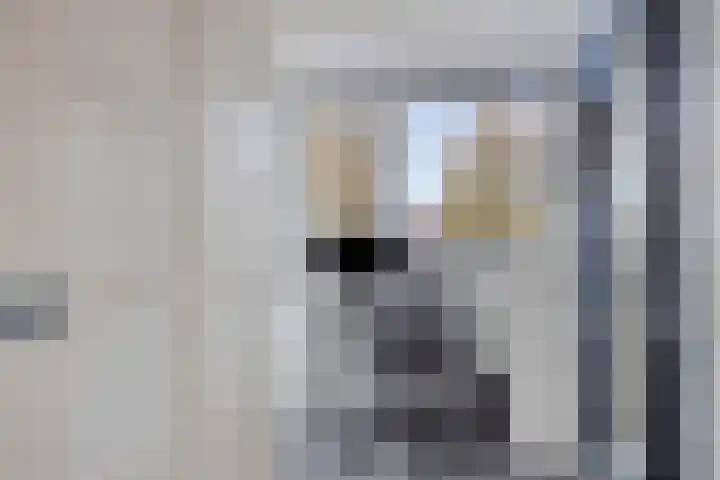 Hondsrug 68 Dronten thumbnail 22