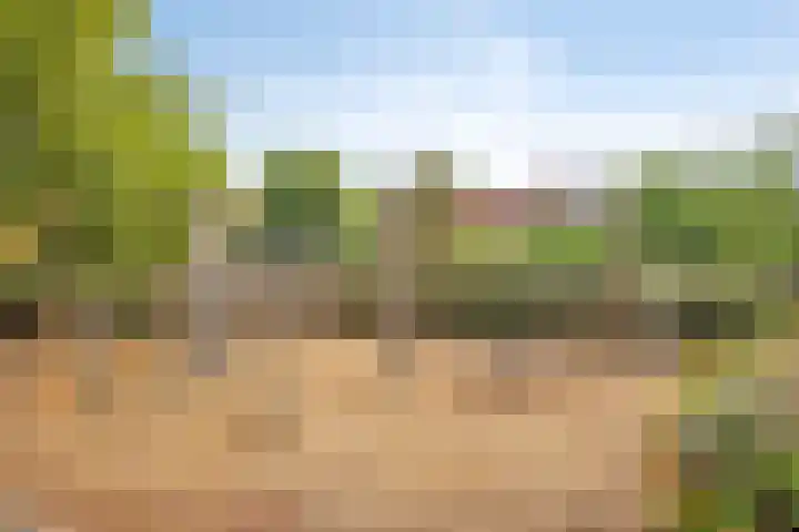 Hondsrug 68 Dronten thumbnail 36
