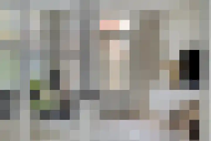 Hondsrug 68 Dronten thumbnail 8