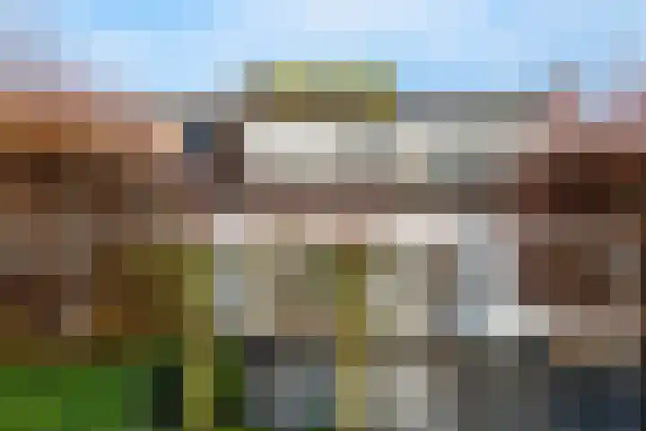 Hondsrug 8 Dronten thumbnail 14