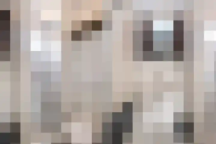 Hondsrug 8 Dronten thumbnail 14