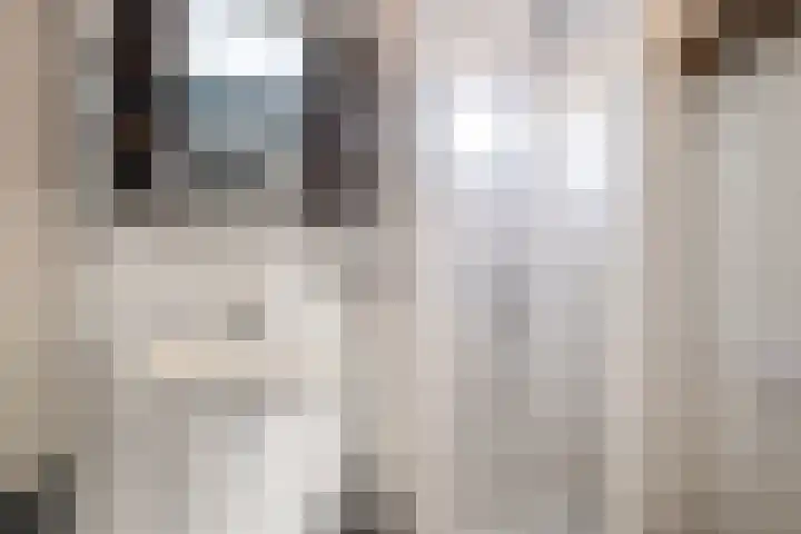 Hondsrug 8 Dronten thumbnail 15