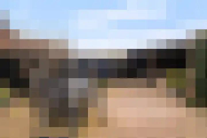 Hondsrug 8 Dronten thumbnail 20