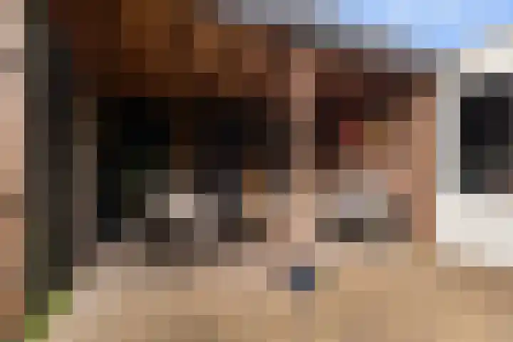 Hondsrug 8 Dronten thumbnail 21