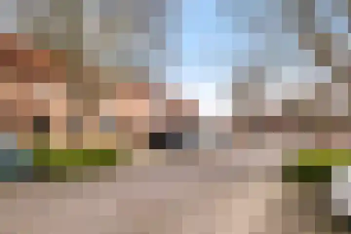 Hondsrug 8 Dronten thumbnail 26