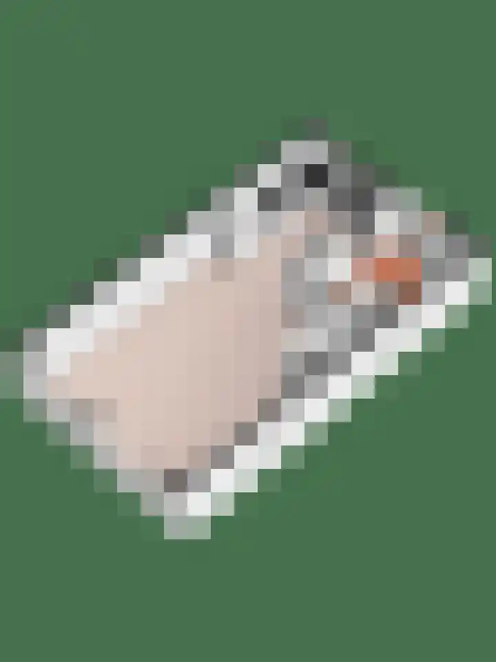 Hondsrug 8 Dronten thumbnail 32