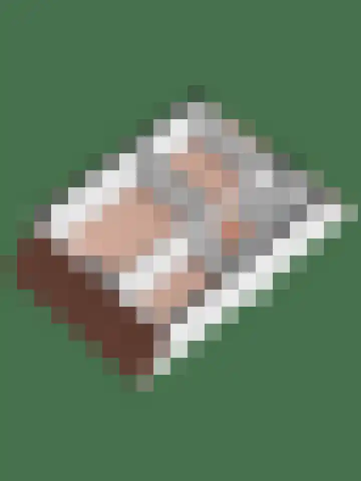 Hondsrug 8 Dronten thumbnail 33
