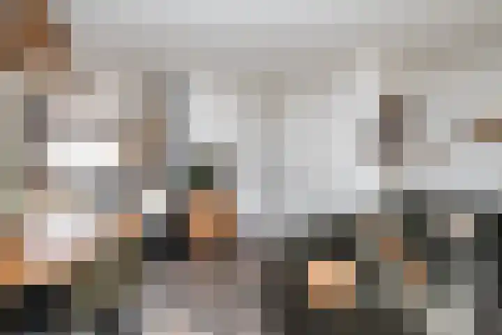 Hondsrug 8 Dronten thumbnail 5