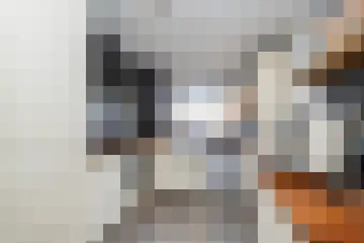 Hondsrug 8 Dronten thumbnail 6