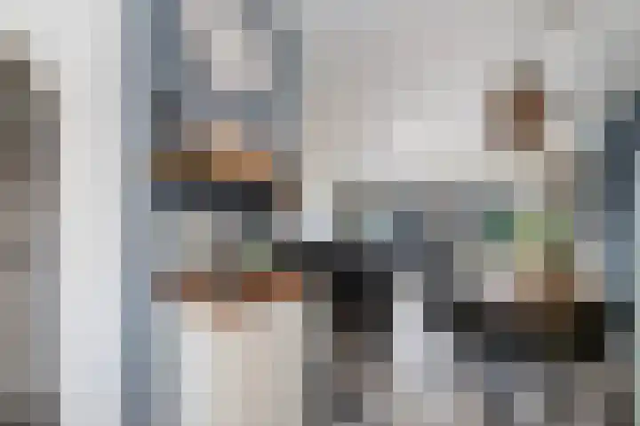 Hondsrug 8 Dronten thumbnail 8