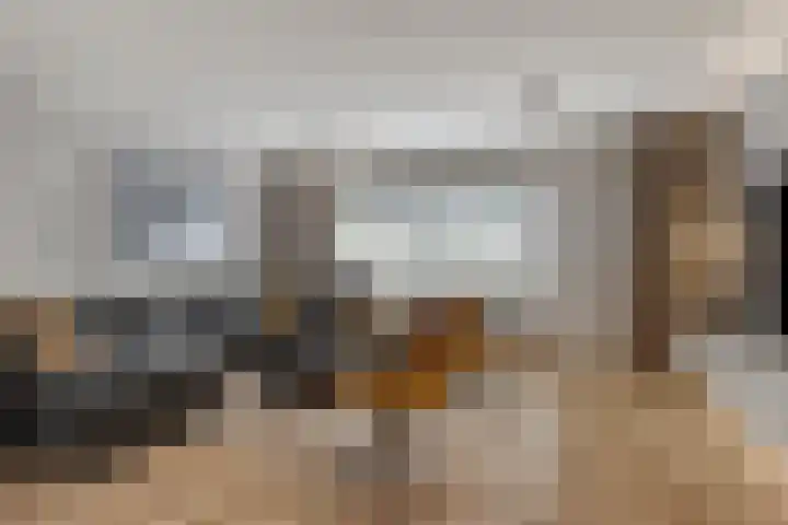 Hondsrug 84 Dronten thumbnail 10