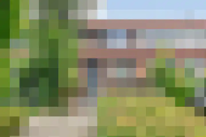 Hondsrug 84 Dronten thumbnail 6