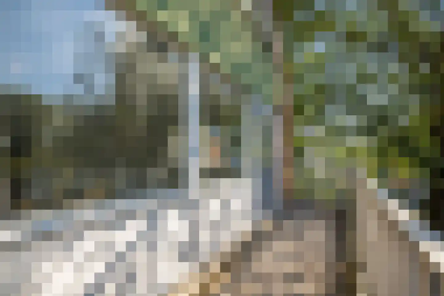 Hondsrug 911 Utrecht thumbnail 11