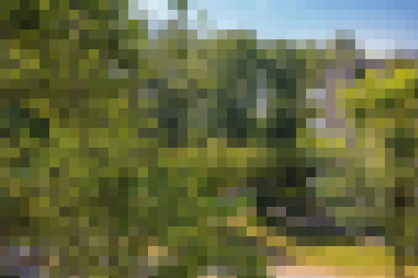 Hondsrug 911 Utrecht thumbnail 25