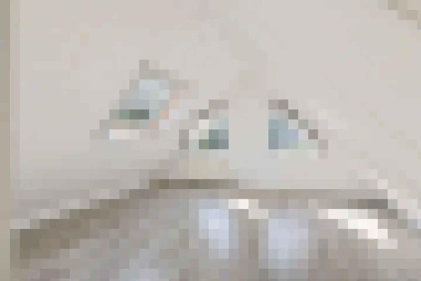 Hondsrug 911 Utrecht thumbnail 31
