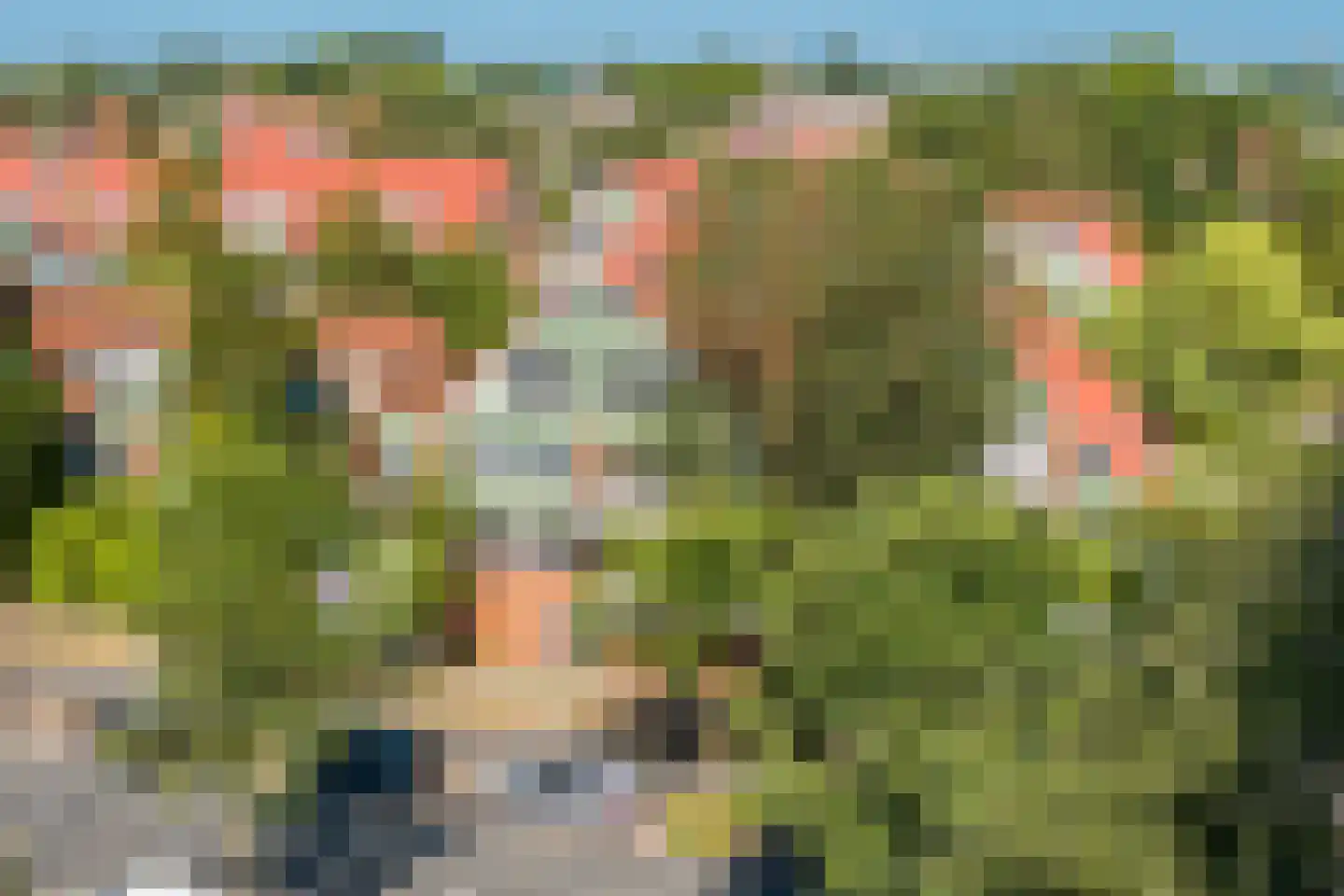 Hondsrug 911 Utrecht thumbnail 33