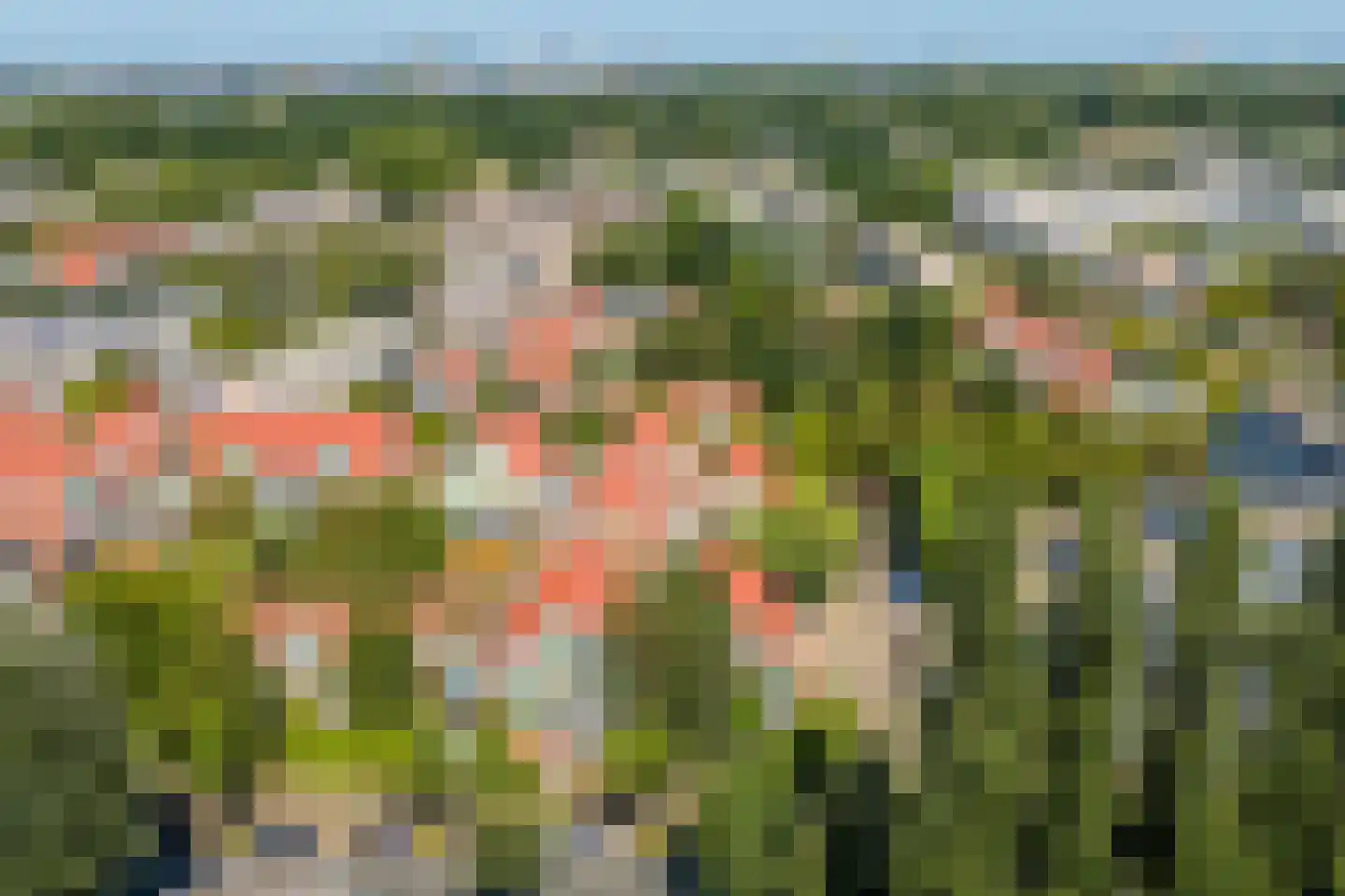 Hondsrug 911 Utrecht thumbnail 34