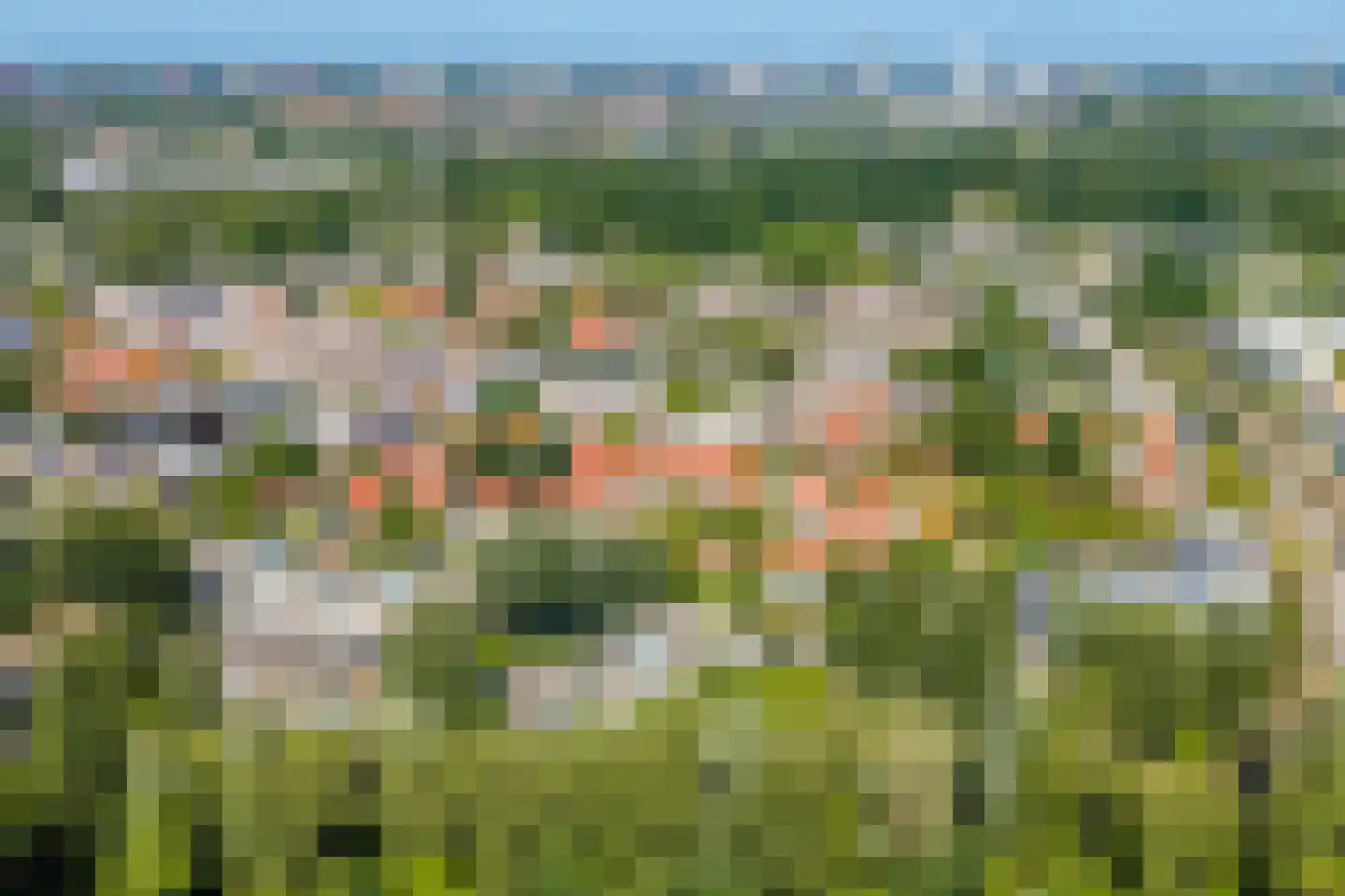 Hondsrug 911 Utrecht thumbnail 35