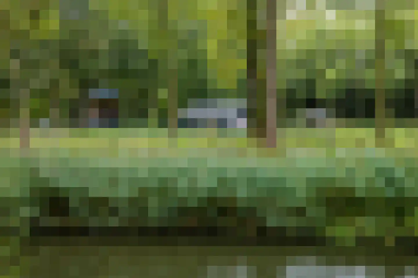 Hondsrug 911 Utrecht thumbnail 37