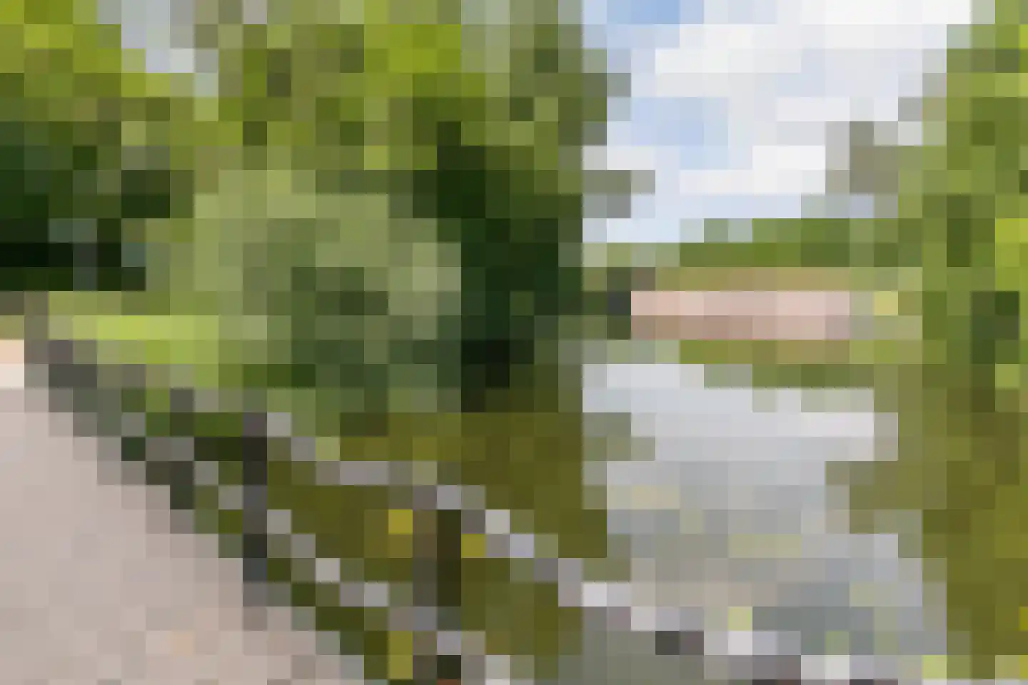 Hondsrug 911 Utrecht thumbnail 39