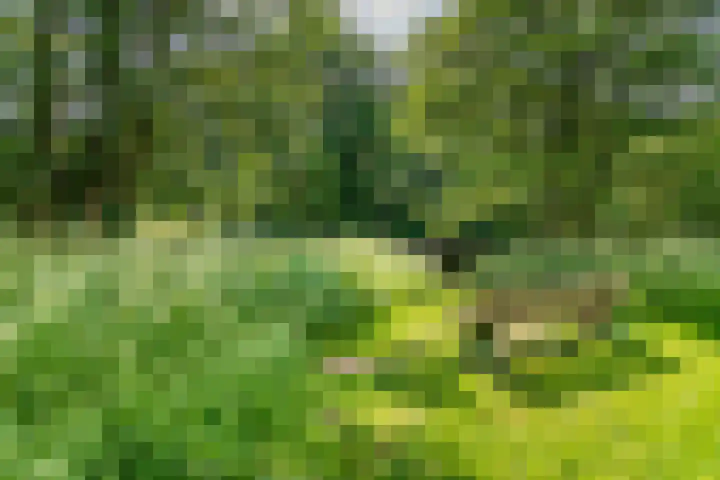 Hondsrug 911 Utrecht thumbnail 40