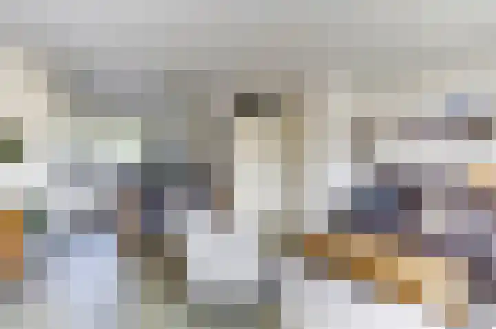 Hondsrug 92 Dronten thumbnail 10