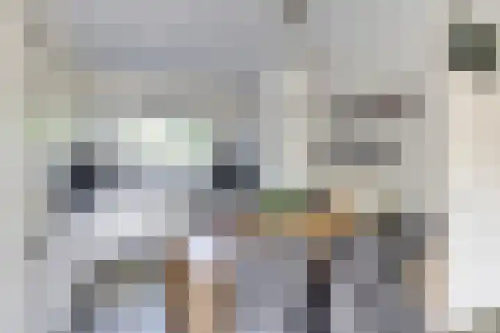 Hondsrug 92 Dronten thumbnail 12