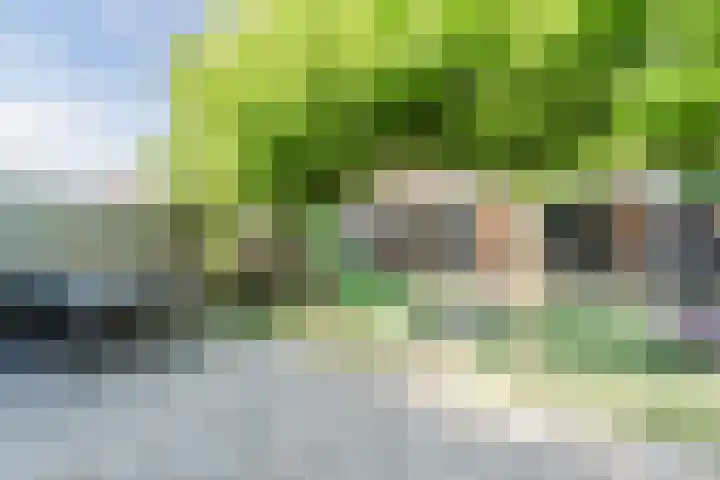 Hondsrug 92 Dronten thumbnail 14