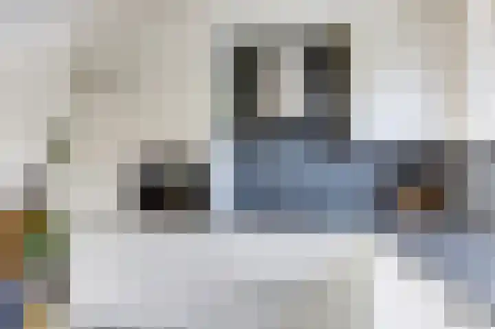 Hondsrug 92 Dronten thumbnail 14