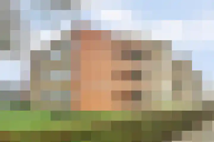 Hondsrug 92 Dronten thumbnail 27