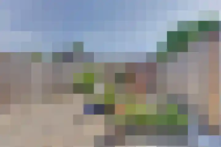 Hondsrug 92 Dronten thumbnail 31