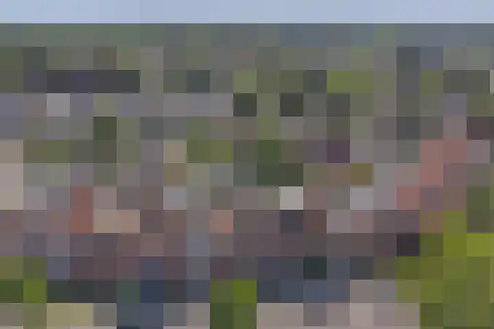Hondsrug 92 Dronten thumbnail 5