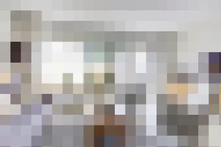 Hondsrug 92 Dronten thumbnail 7