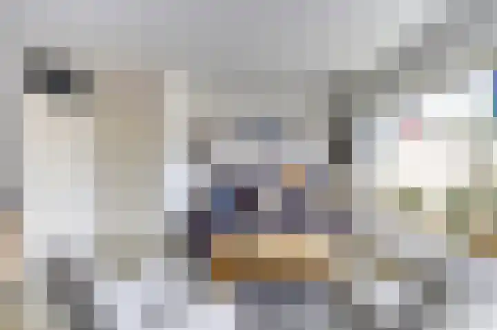 Hondsrug 92 Dronten thumbnail 9