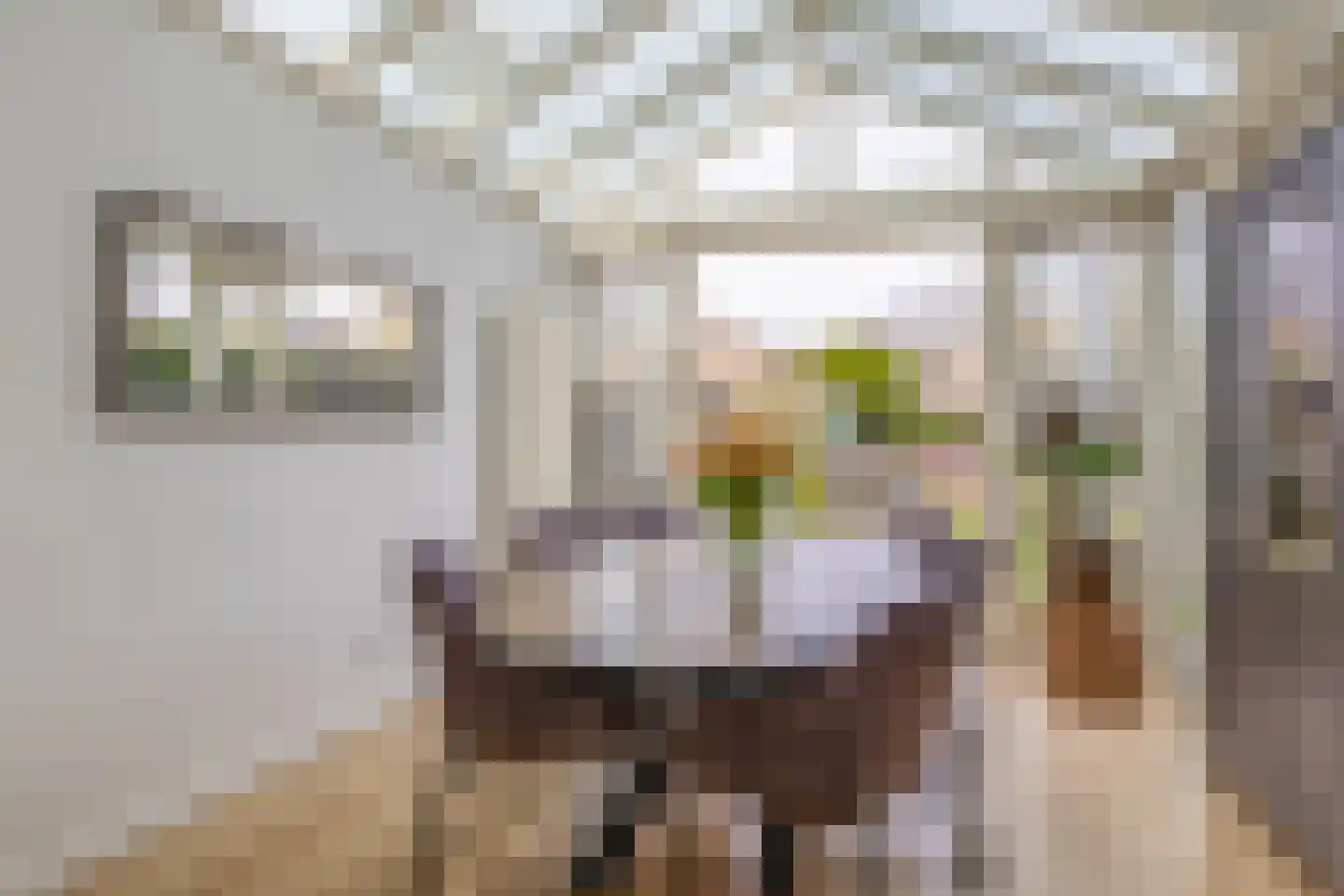 Hondsruglaan 104 Eindhoven thumbnail 22