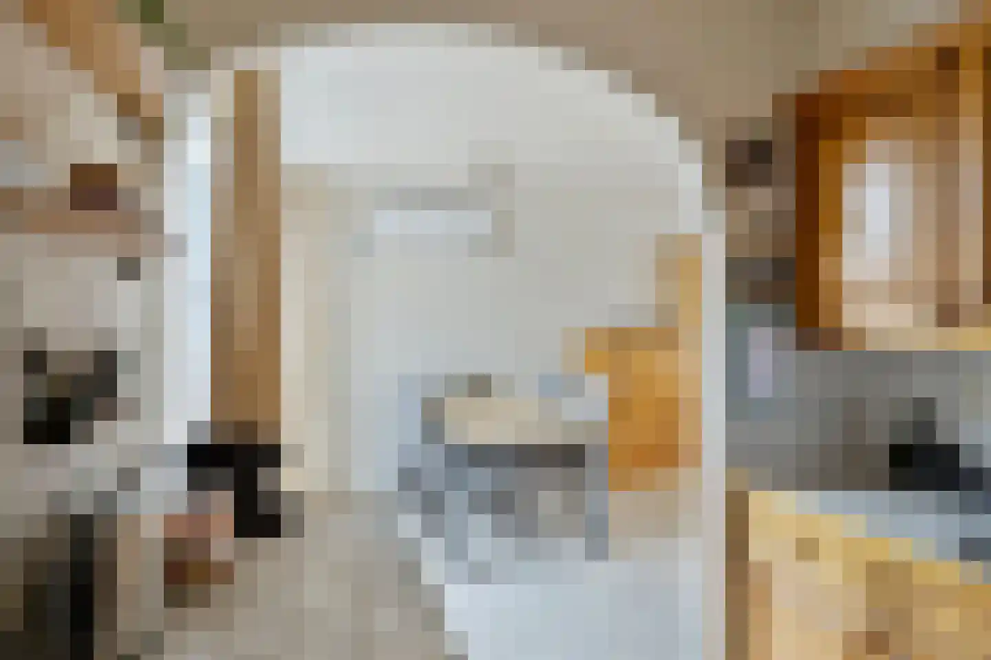 Hondsruglaan 138 Eindhoven thumbnail 12
