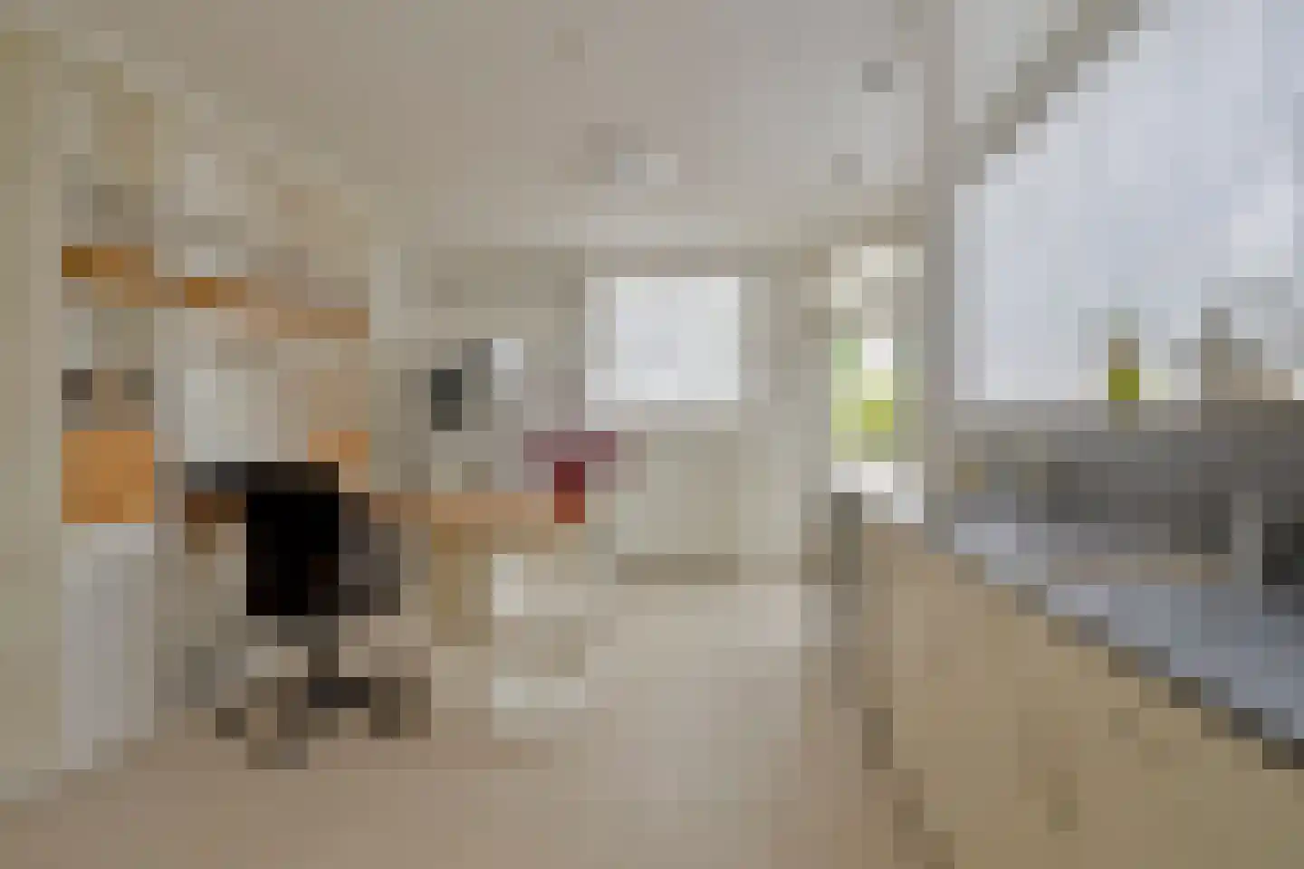 Hondsruglaan 138 Eindhoven thumbnail 14