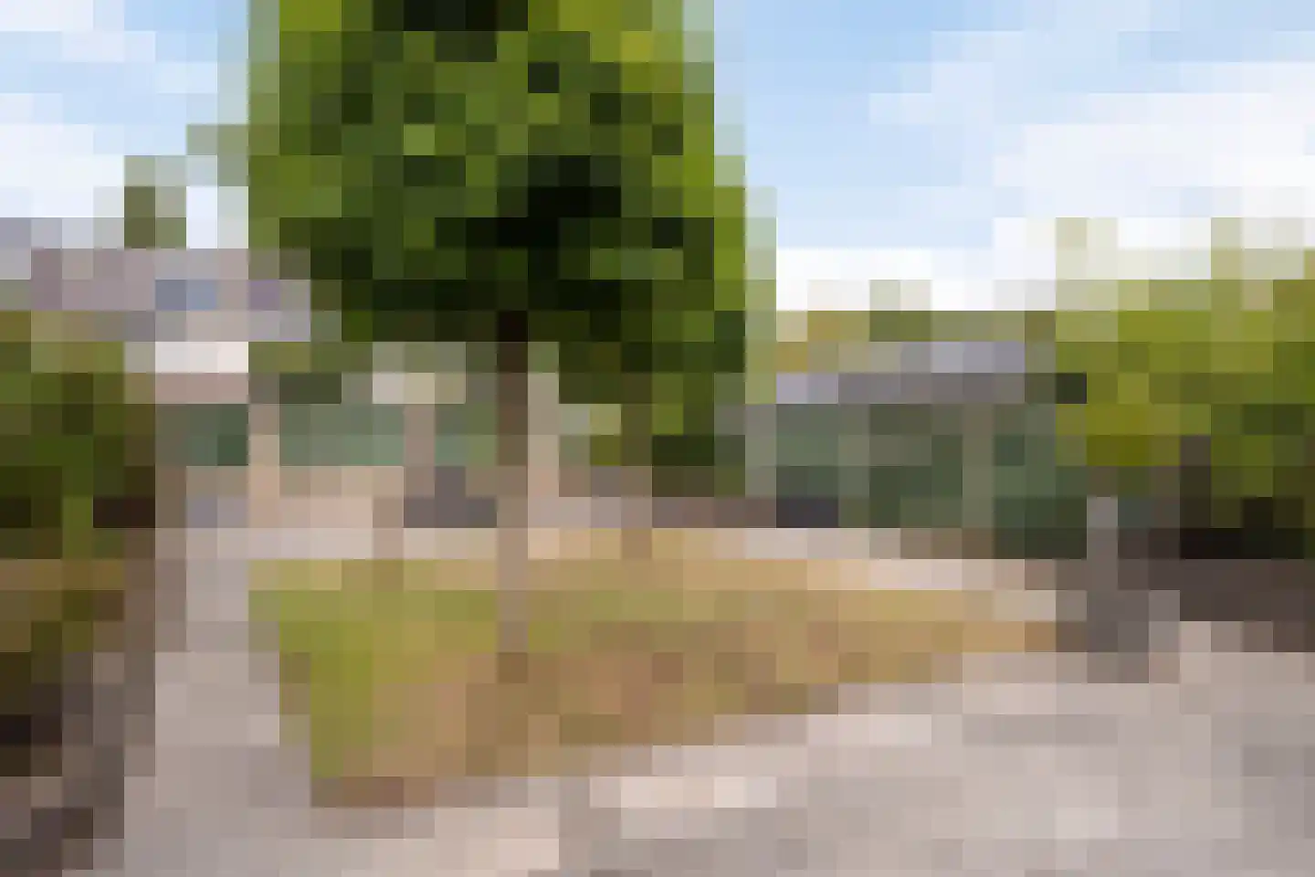 Hondsruglaan 138 Eindhoven thumbnail 19
