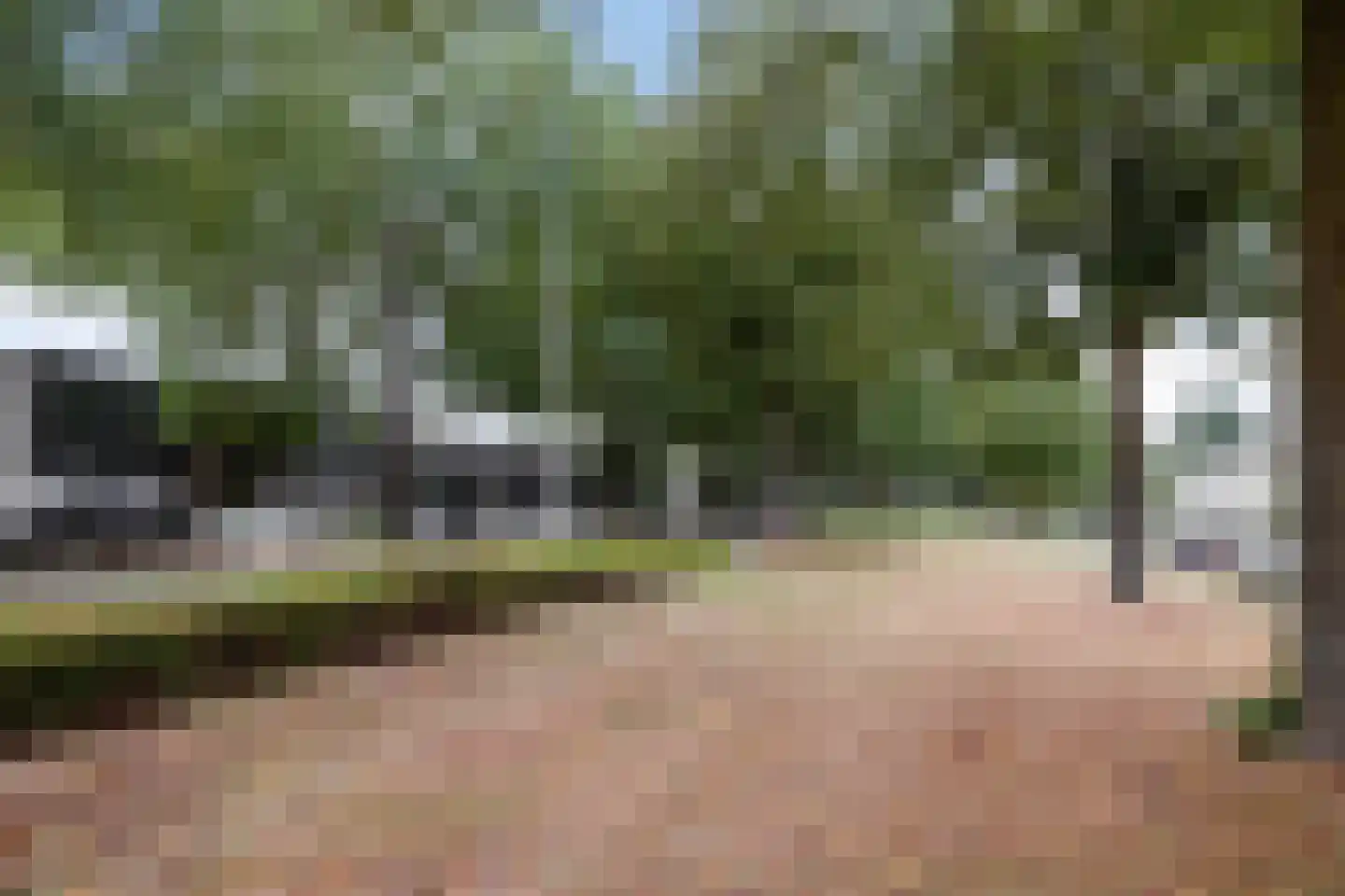 Hondsruglaan 138 Eindhoven thumbnail 39
