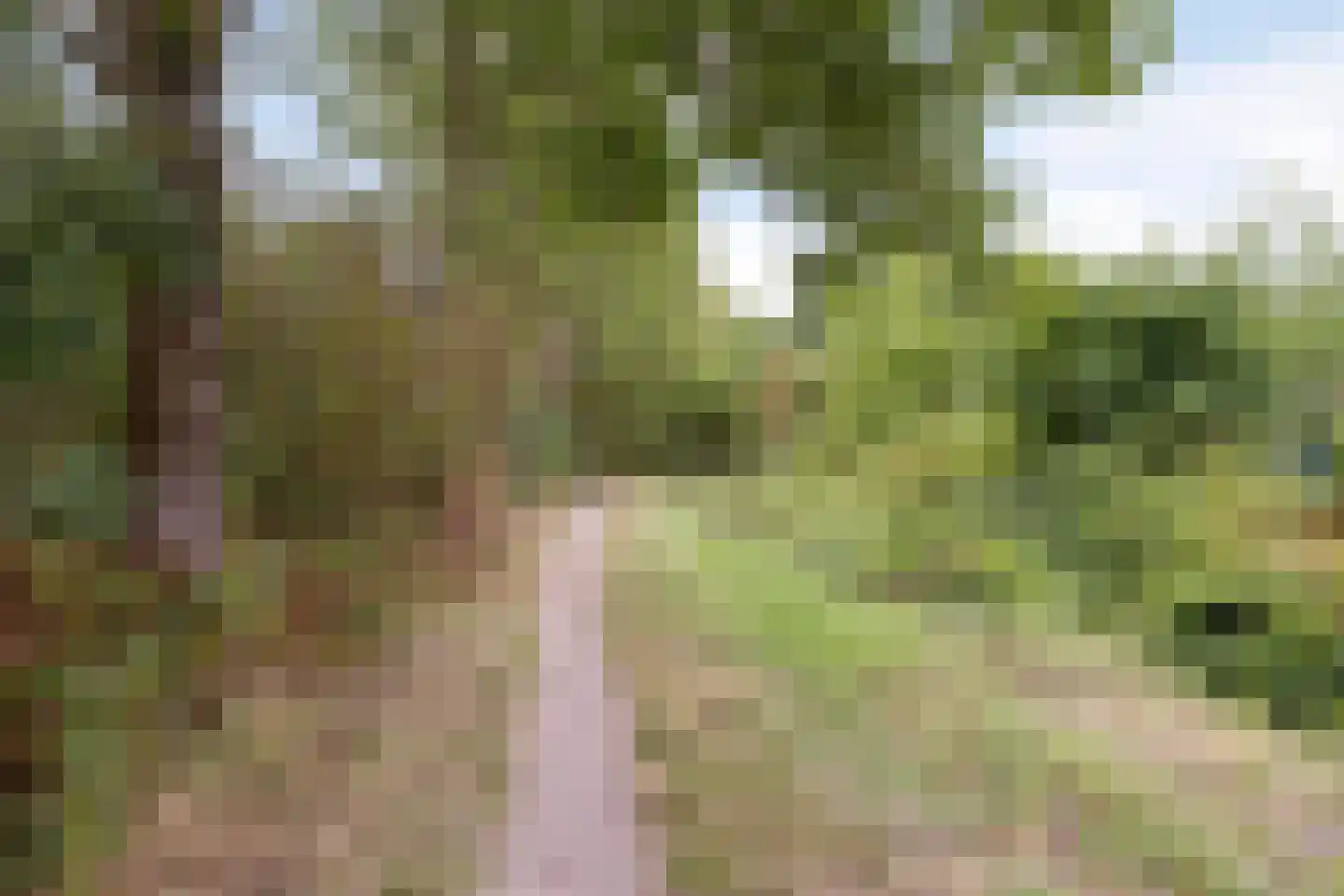 Hondsruglaan 138 Eindhoven thumbnail 41