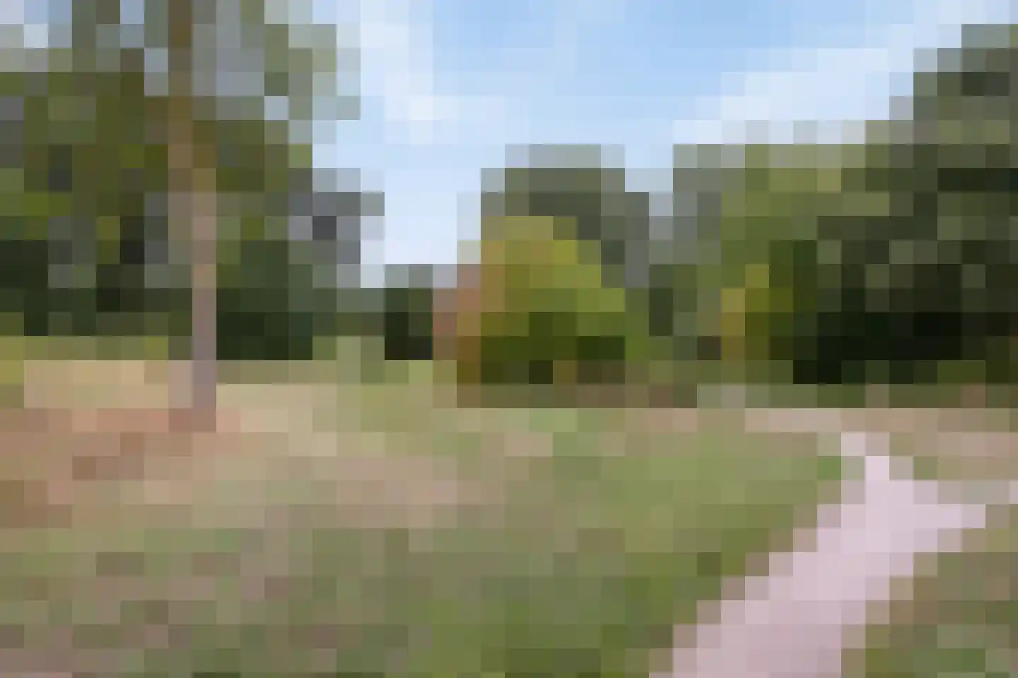 Hondsruglaan 138 Eindhoven thumbnail 42