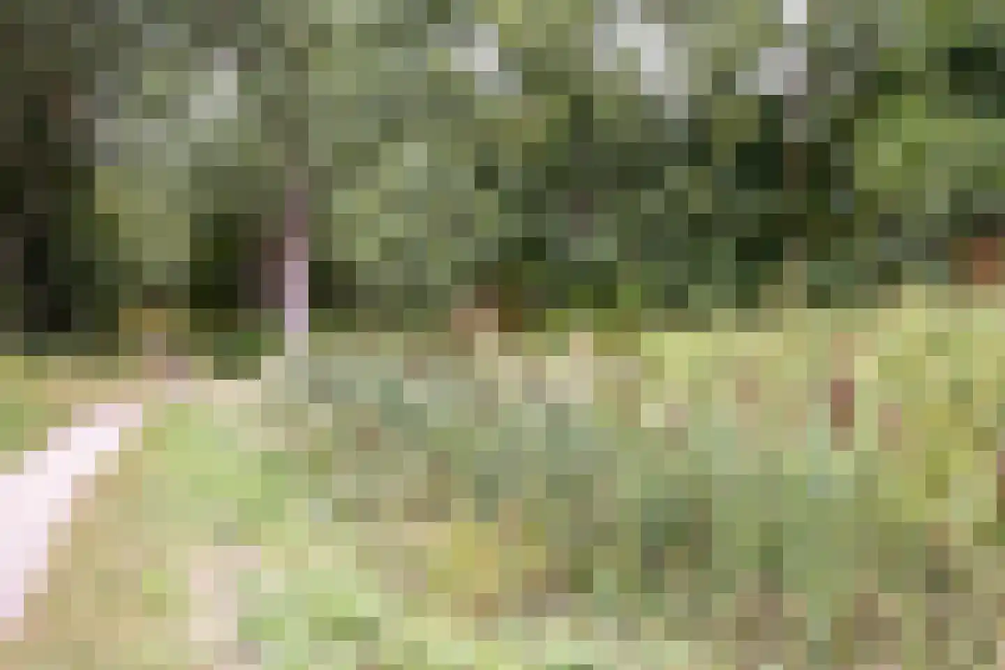 Hondsruglaan 138 Eindhoven thumbnail 43